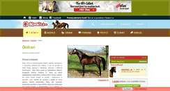 Desktop Screenshot of gidran.konicci.cz