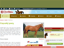 Tablet Screenshot of cayusky-pony.konicci.cz
