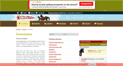 Desktop Screenshot of connemara.konicci.cz