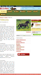 Mobile Screenshot of fellsky-pony.konicci.cz