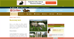 Desktop Screenshot of bulonsky-kun.konicci.cz
