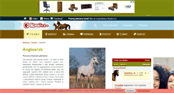 Desktop Screenshot of angloarab.konicci.cz